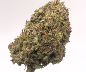 (MS) Peanut Butter Breath