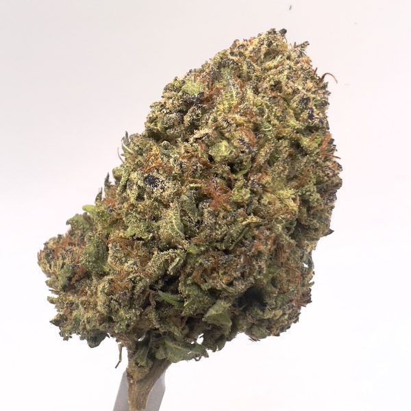 (MS) Peanut Butter Breath