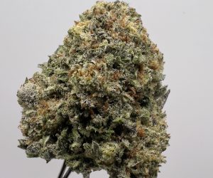 (TS) Vanilla Frosting