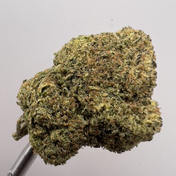 (TS) Ridgeline Runtz