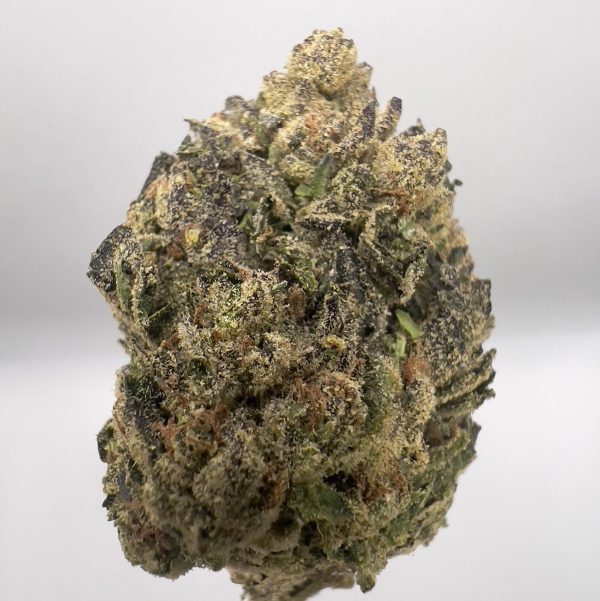 (TS) Lemon Cherry Gelato