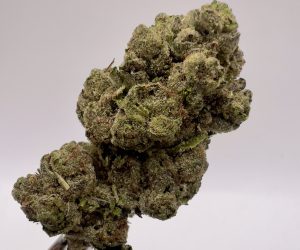 Spend 100 = Free 3.5 (TS) Ice Cream Cake