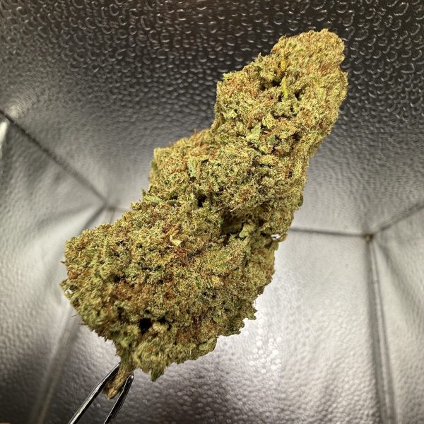 (TS) Grape Cream Cake