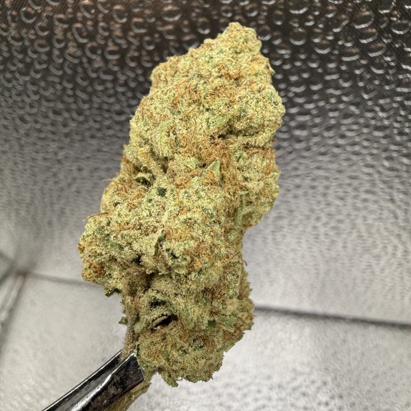 (PR) KoolAid