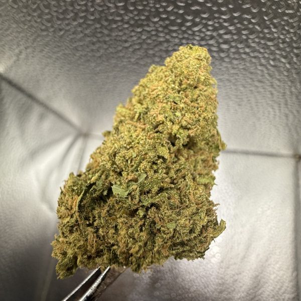 (TS) Zkittles